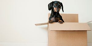 How-to-Hire-a-Moving-Company